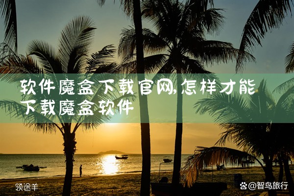 软件魔盒下载官网
