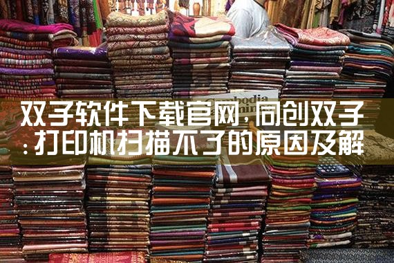 双子软件下载官网