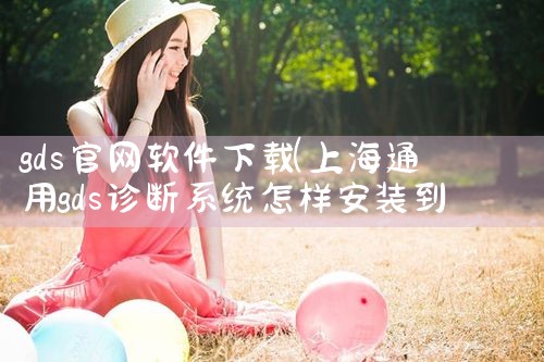 gds官网软件下载