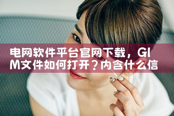 电网软件平台官网下载