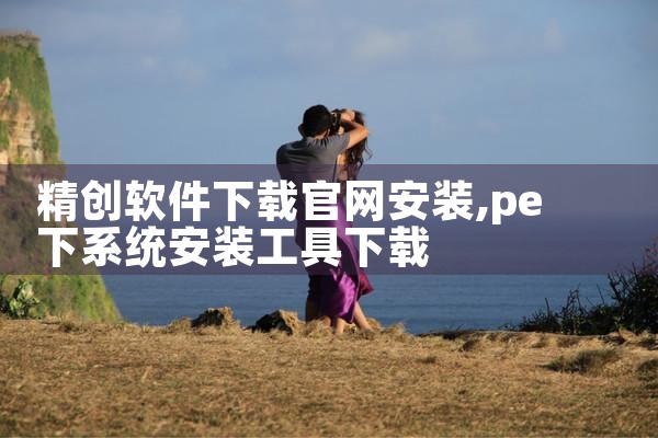 精创软件下载官网安装