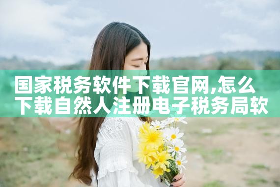 国家税务软件下载官网