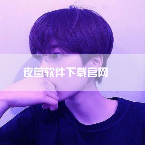 是一家以从事软件和信息技术服务业为主的国家级高新技术企业。公司曾先后获授“国家高新技术企业”、“国家科技型中小企业”等资质和荣誉。在知识产权方面，武汉夜莺科技有限公司拥有注册商标数量达到204个，软件|