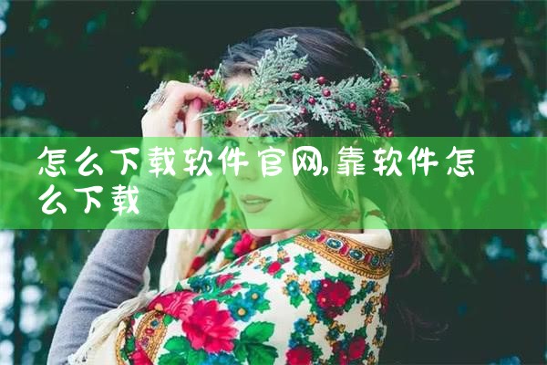 怎么下载软件官网
