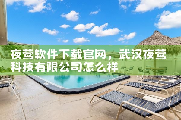 夜莺软件下载官网