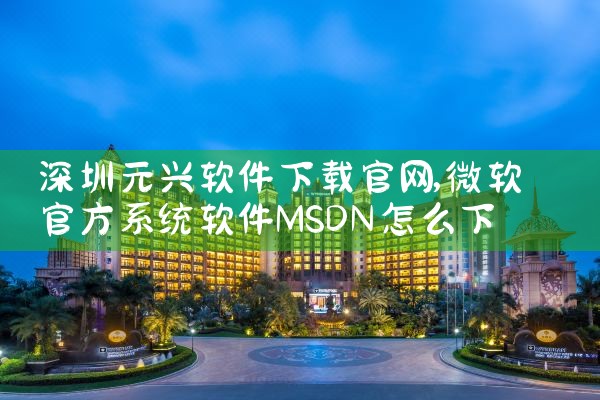深圳元兴软件下载官网