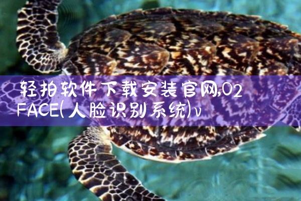 轻拍软件下载安装官网