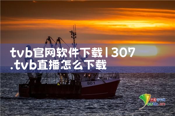 tvb官网软件下载