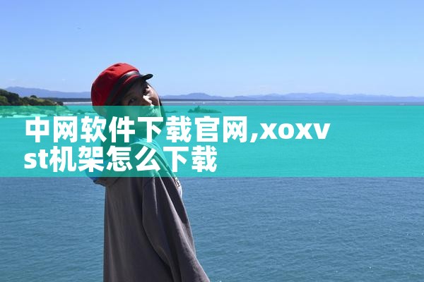 中网软件下载官网